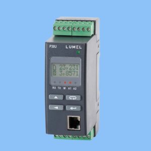 P30U 101100M1 Đồng Hồ Đo Đa Năng Lumel Việt Nam