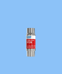 RF53N-ES (145-024) Thiết bị chống cháy ngược Wittgas Vietnam